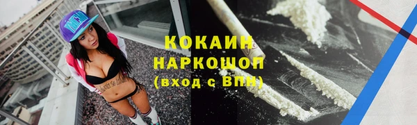 тгк Новодвинск