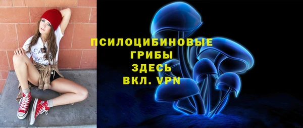 тгк Новодвинск