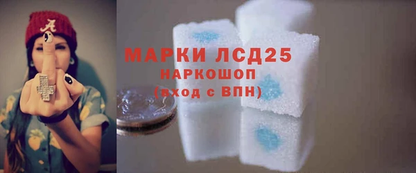тгк Новодвинск