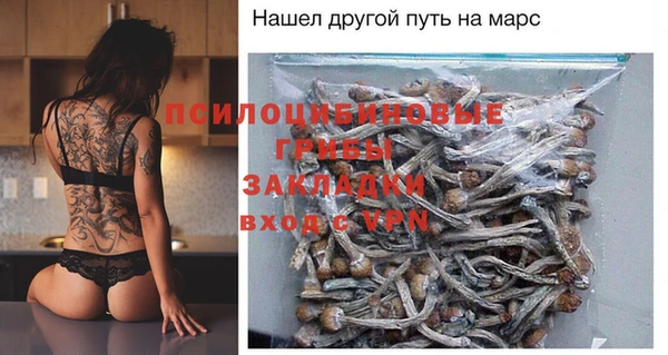 тгк Новодвинск