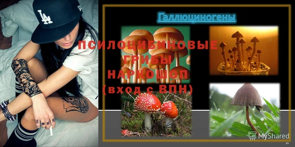 тгк Новодвинск