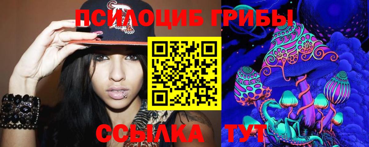 Псилоцибиновые грибы Psilocybine cubensis  Лиски 