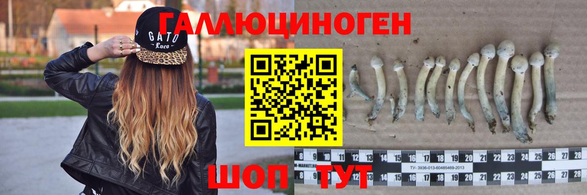 Галлюциногенные грибы ЛСД Лиски